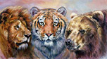 illustration by artist of Lions, Tigers and Bears