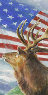 Click for Patriotic Illustration Subject Samples