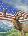 where can i get a stock image of Rocky Mountain Elk art