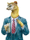 need stock image or photo of weasel accountant