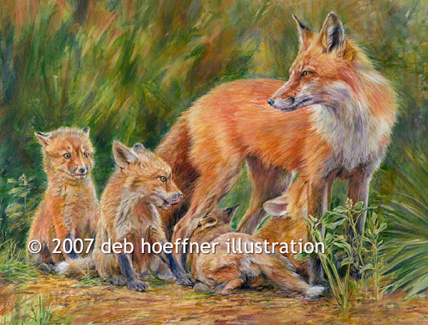 stock image illustration of red fox watercolor painting by deb hoeffner illustrator