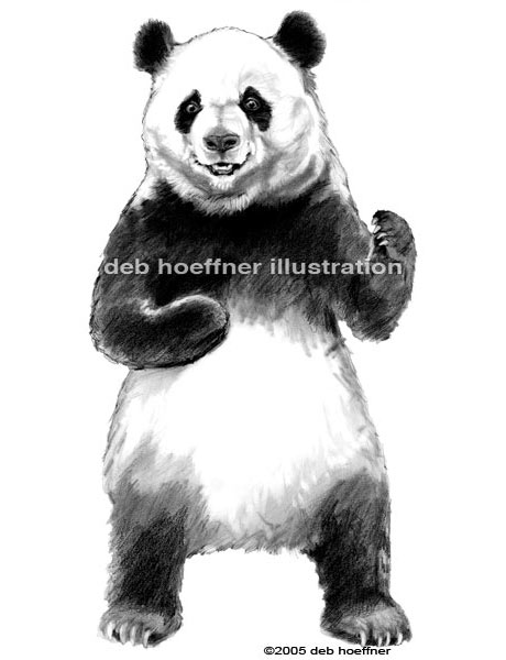 How to Draw a Panda - Easy Drawing Art