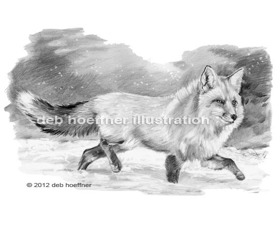 Realistic Fox Drawing Stock Illustrations – 1,750 Realistic Fox Drawing  Stock Illustrations, Vectors & Clipart - Dreamstime