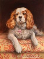 King Charles Cavalier Spaniel pet portrait