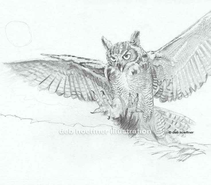 Eagle owl by ~GabrielleGrotte on deviantART | Owls drawing, Owl, Realistic  owl tattoo